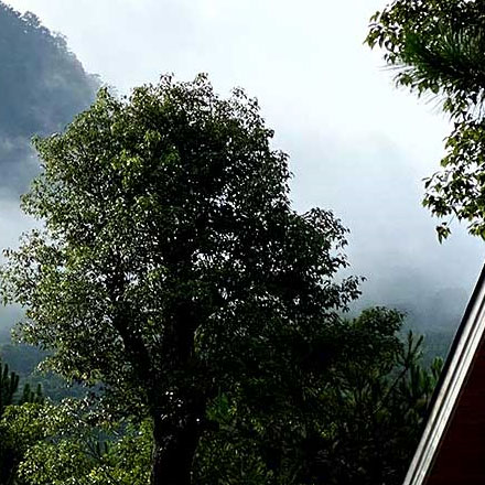 温泉酒店vi设计视觉系统应用